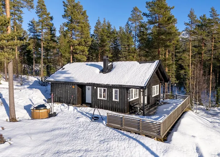 Chalet Vradal - 8P - With Sauna & Hot Tub