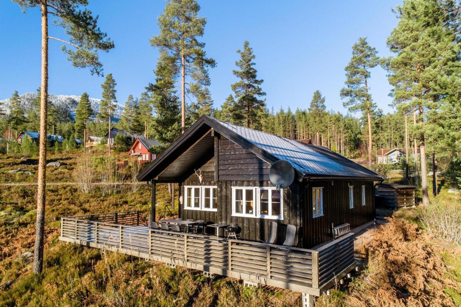 - 8p - With Sauna & Hot Tub Holiday home Vradal